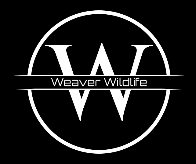 weaverwildlife